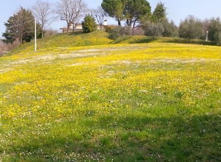 לינה וארוחת בוקר Villaga Paglia E Fieno מראה חיצוני תמונה