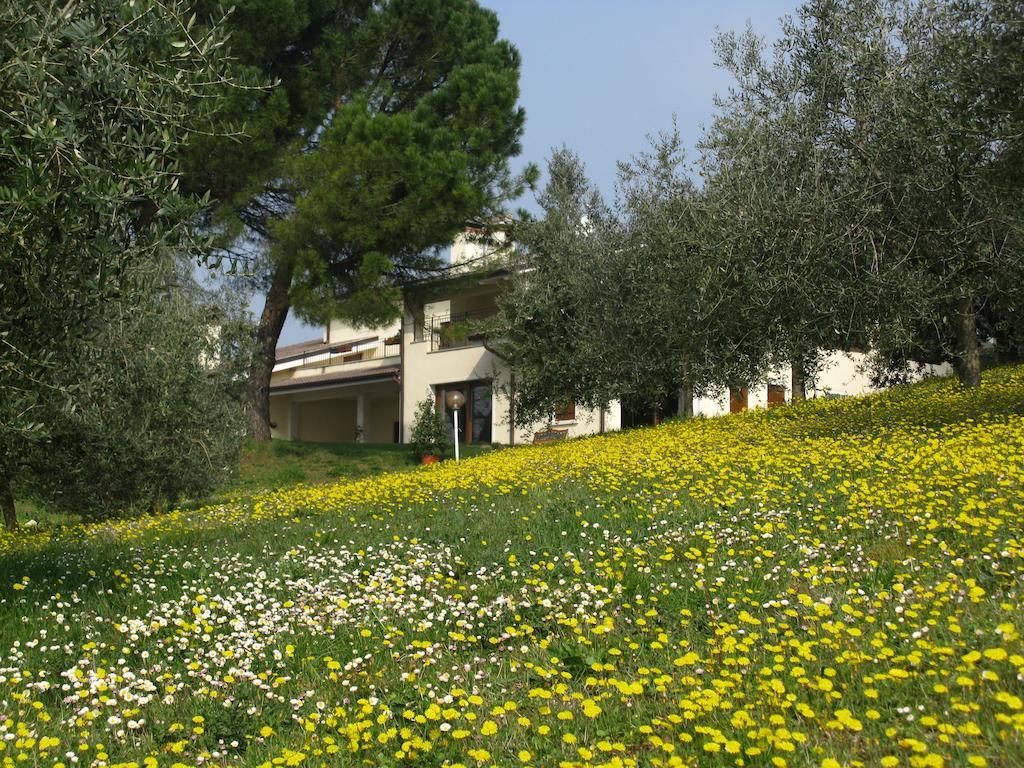 לינה וארוחת בוקר Villaga Paglia E Fieno מראה חיצוני תמונה